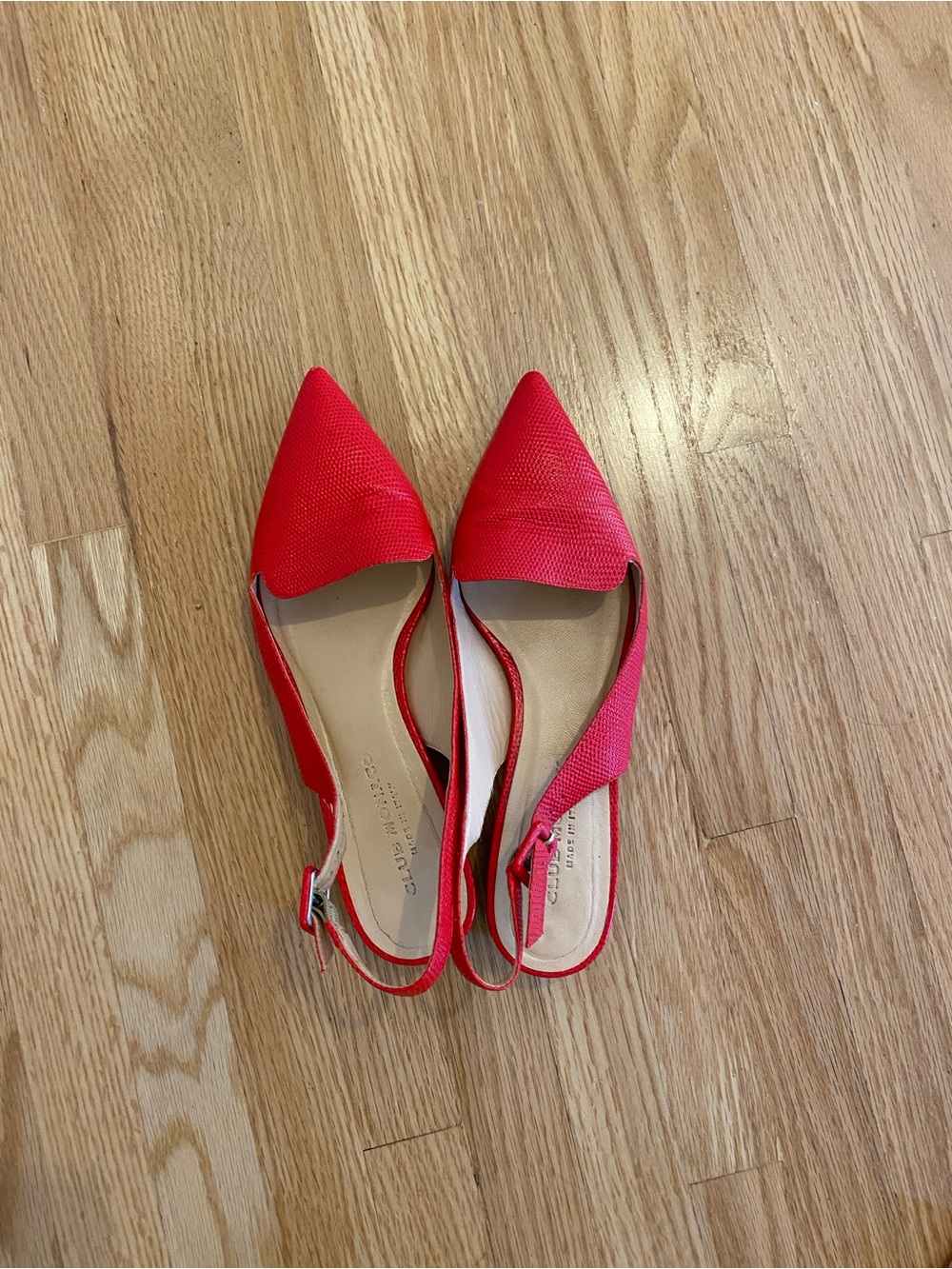 Club Monaco Flats